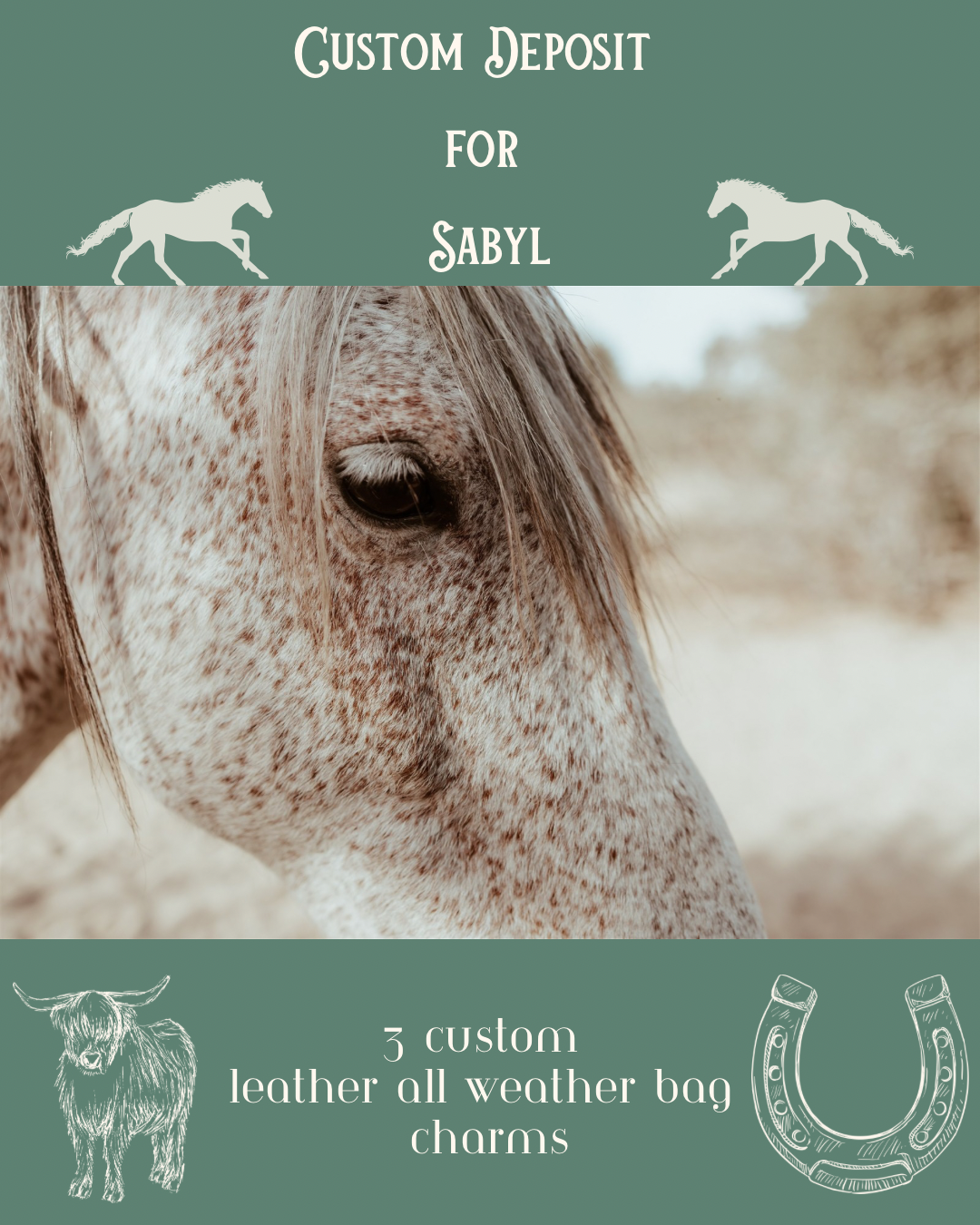 Custom listing image for Sabyl with a horse and a description of the custom order
