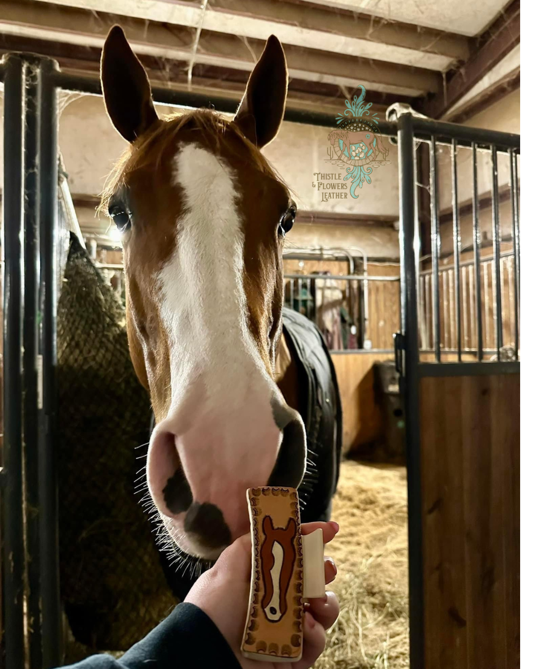 Horse next to custom hair clip bearing his likeness.