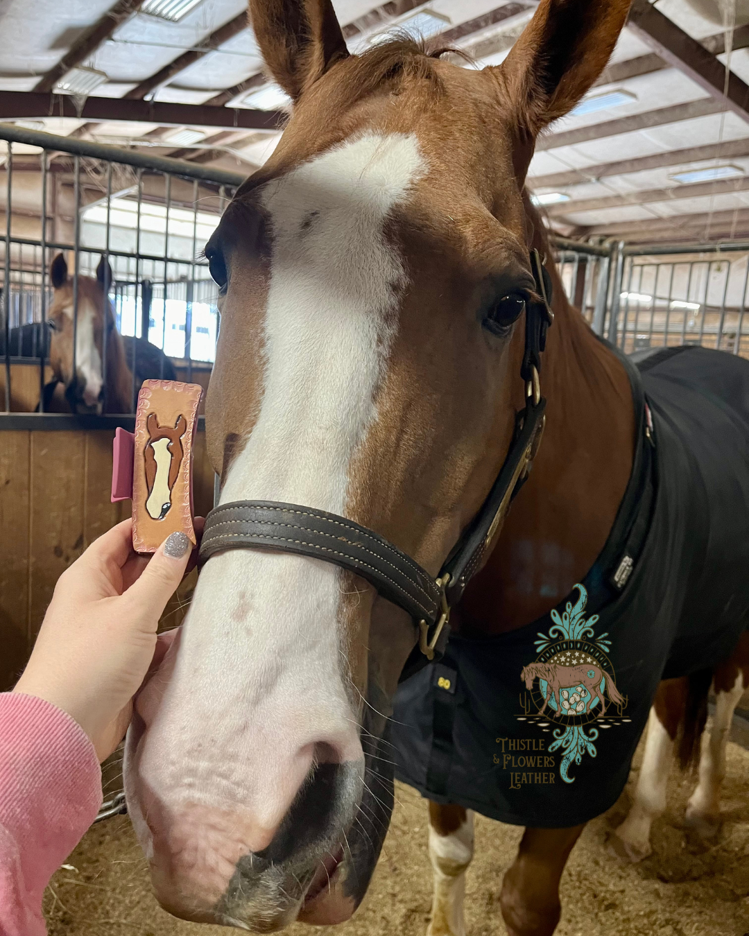 Horse next to custom hairclip bearing his likeness.