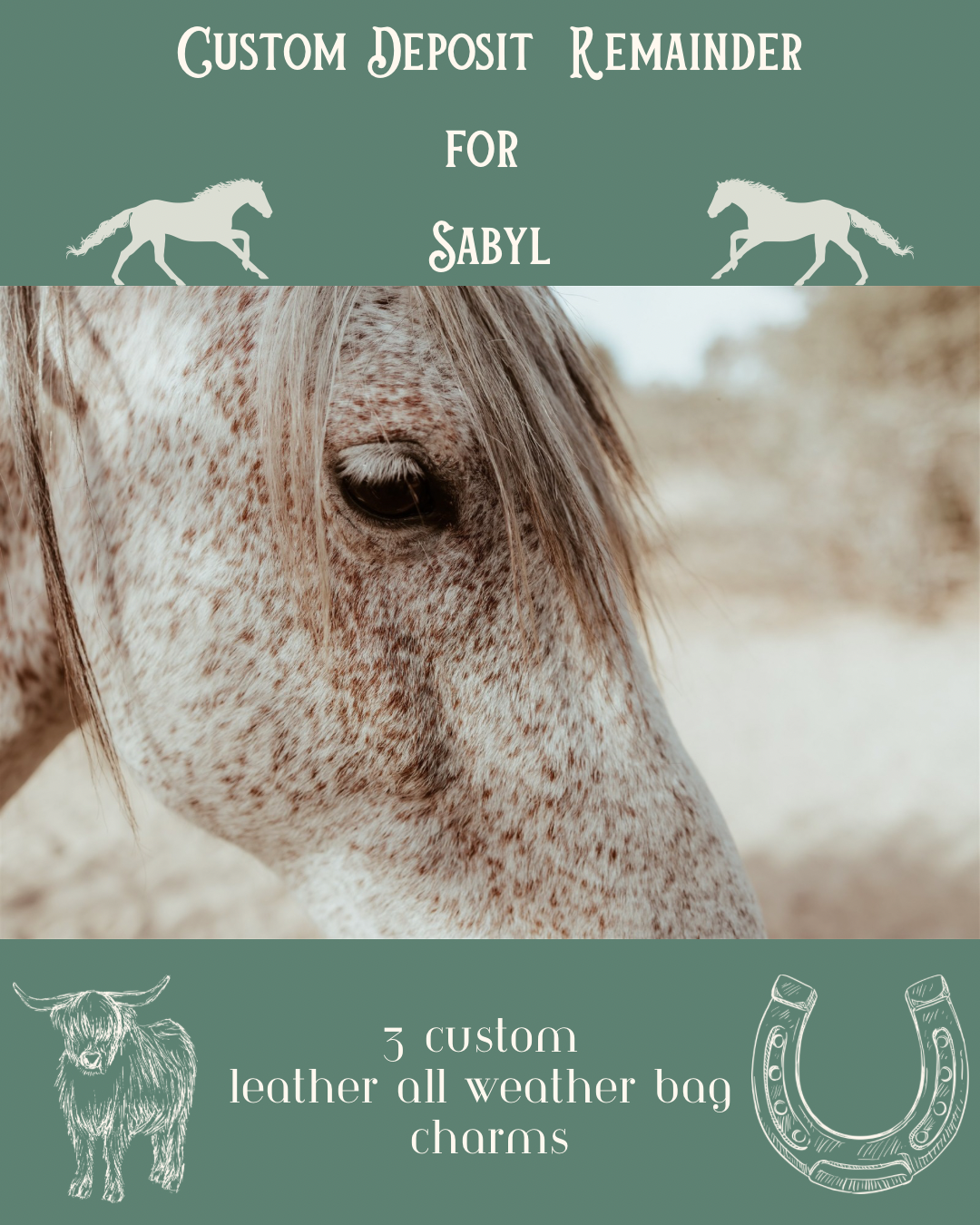 Horse image with custom deposit remainer for sabyl with 3 custom leather all weather bag charms on it. Horses, horseshoe, and highland cow drawings on image.