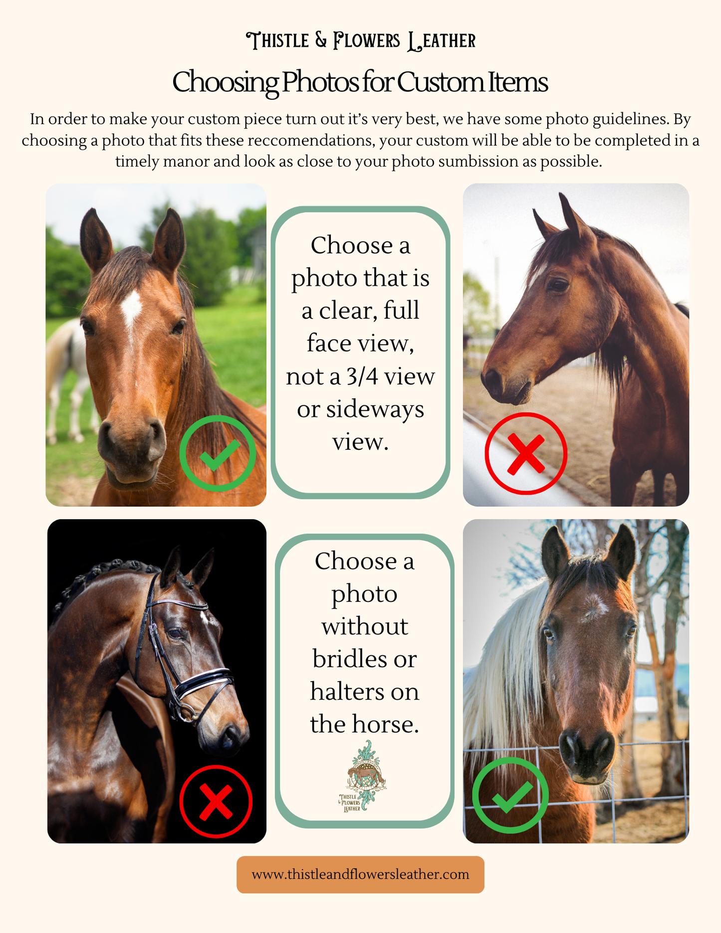 Photo guide showing examples for choosing a photo to submit for custom items, stressing importance of clear images with a full face view and no bridles or halters.