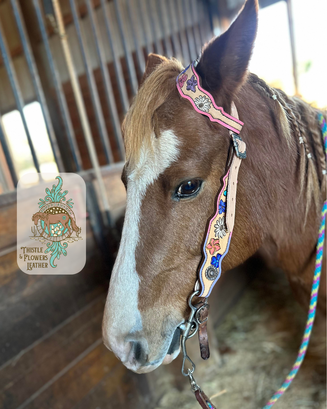 Example of a custom headstall on a chestnut pony. Florals and a purple-pink ombre border with silver buckles and silver with slight gold conchos.