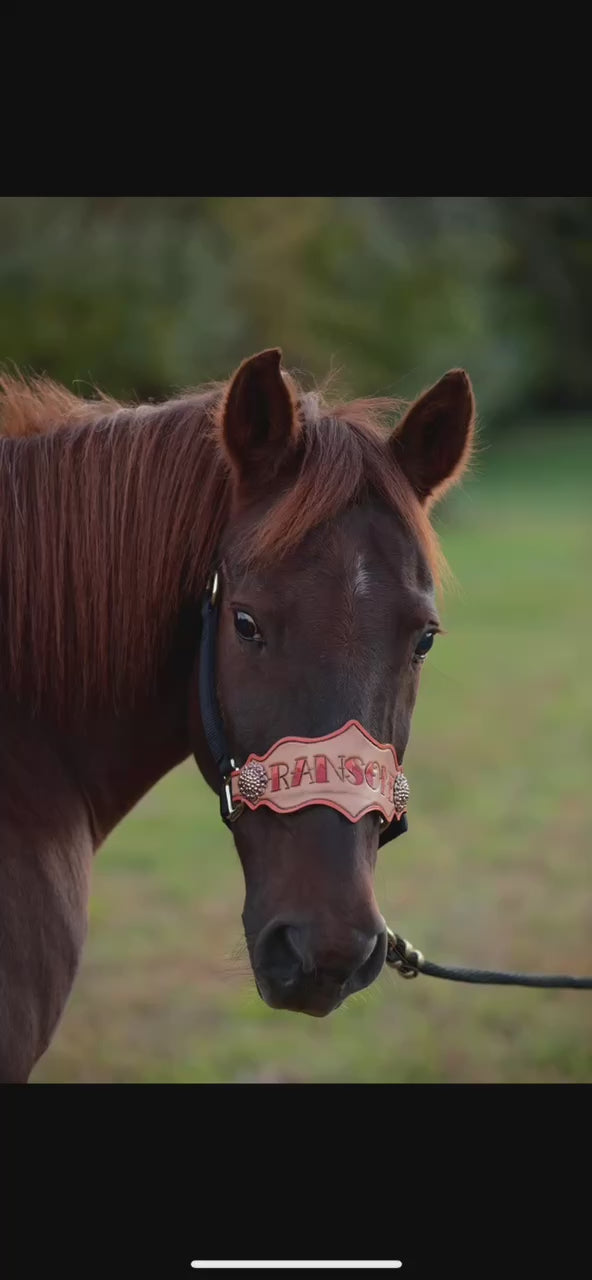 Video showing the process of custom clip creation. Starting with 2 photos of different horse, then a sketch on leather of their facial markings, followed by the horses painted according to their likeness. After that, the horse's details are defined , and then cut out and applied to the hair clip. Both sides of the clip are shown. 